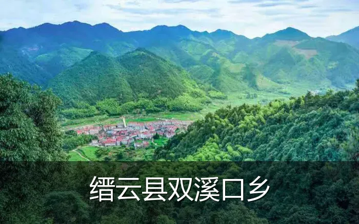 缙云县双溪口乡