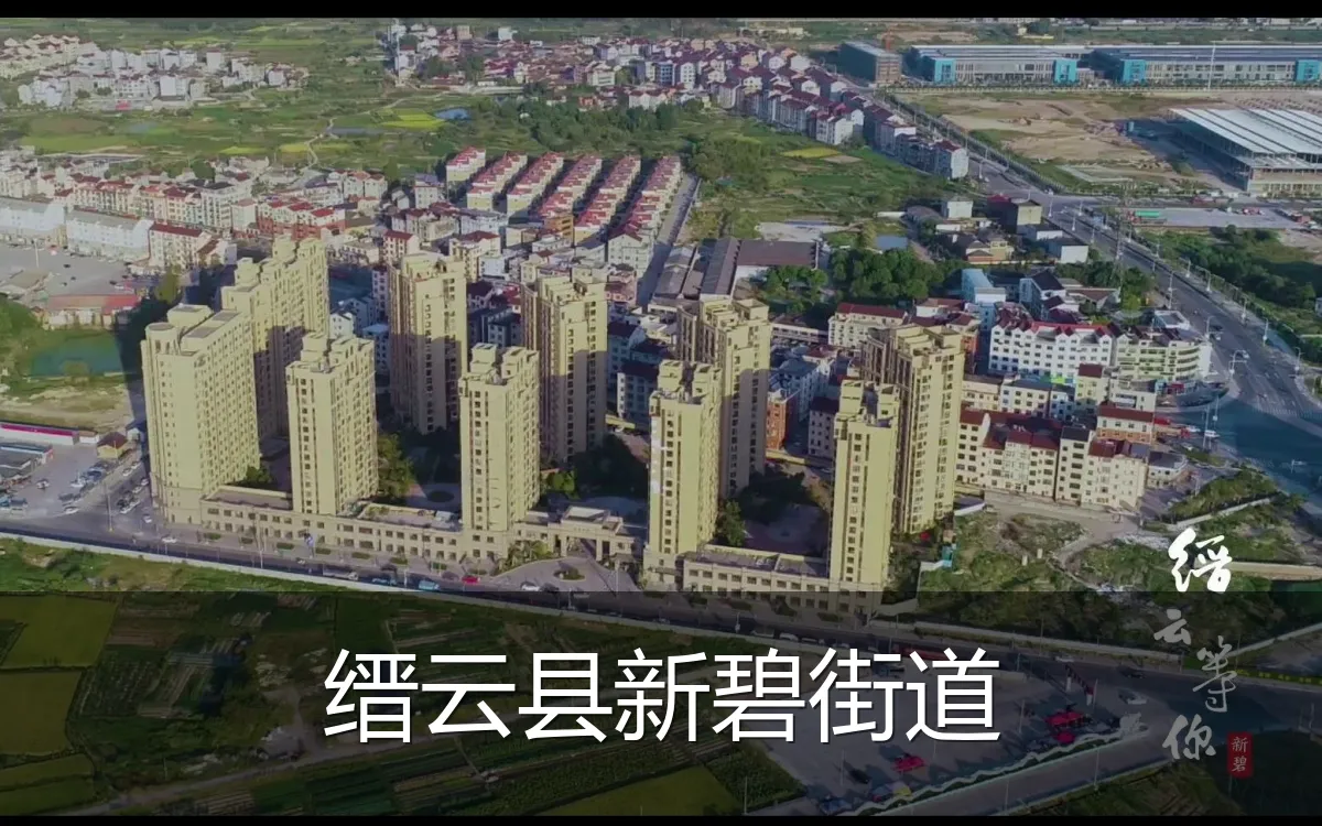 缙云县新碧街道